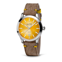 Watch Eberhard Man Aiglon in Steel 41030.SE CP GIALLO